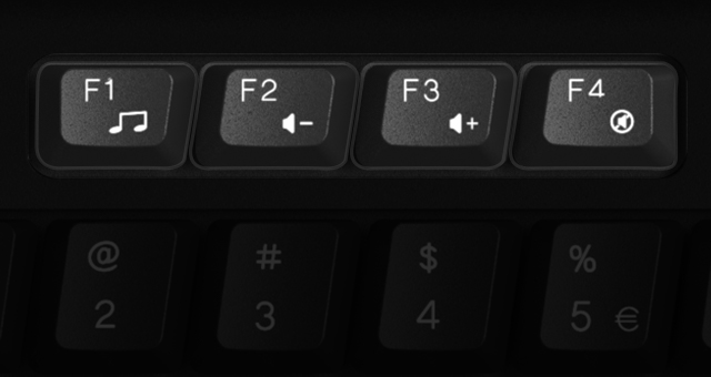 FN Hot Keys